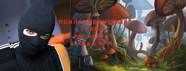 бошки Алексин