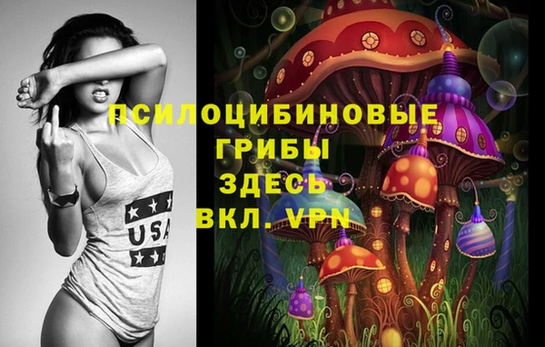 бошки Алексин