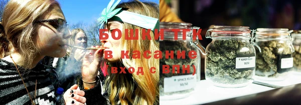 бошки Алексин