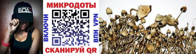 Галлюциногенные грибы Magic Shrooms  купить наркотики цена  Белореченск 